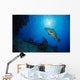Cernia Al Pasto Wall Mural