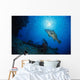Cernia Al Pasto Wall Mural