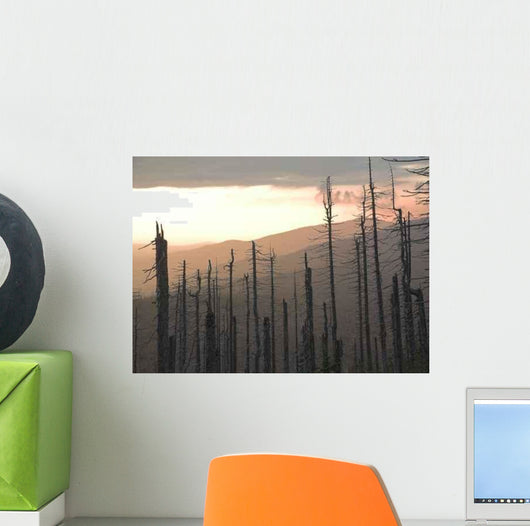 Forest Dieback Wall Decal
