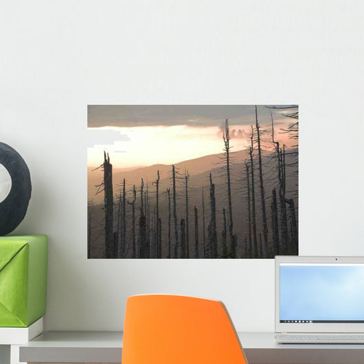 Forest Dieback Wall Decal