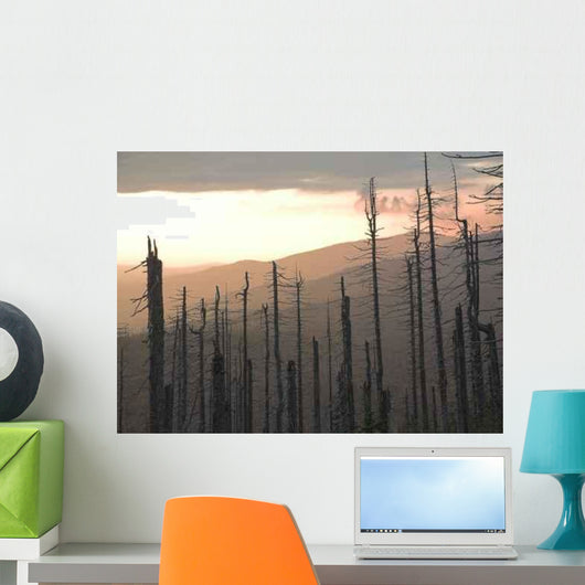 Forest Dieback Wall Decal