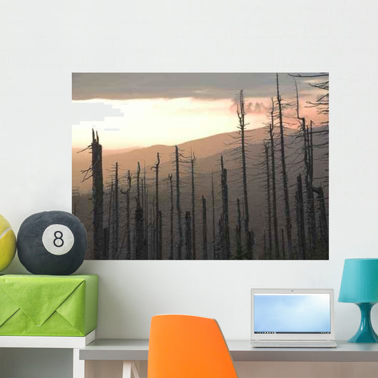 Forest Dieback Wall Decal