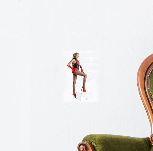 Young Woman in Erotic Clothing Wall Decal