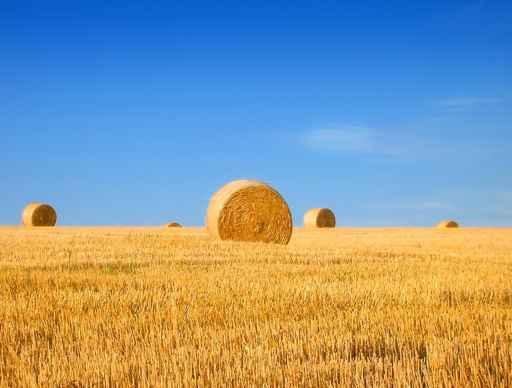 Field and Bales Hay Wall Decal