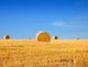 Field and Bales Hay Wall Decal