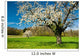 Blossoming Trees Spring Wall Decal