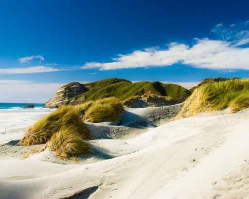 Wharariki Beach Wall Decal