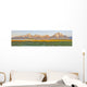The Tetons from Jackson Lake Lodge Wall Mural