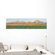 The Tetons from Jackson Lake Lodge Wall Mural