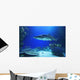 Shark Wall Decal Design 1
