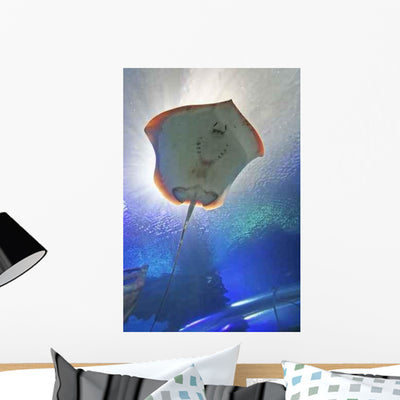 Stingray Wall Decal shown on a wall