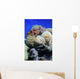Coral Wall Decal