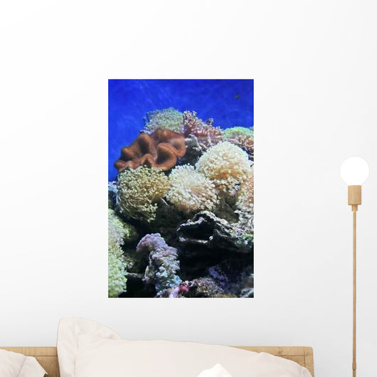 Coral Wall Decal
