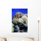 Coral Wall Decal