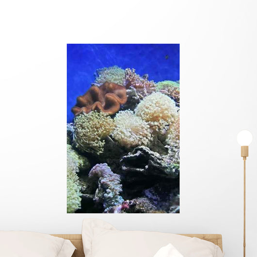 Coral Wall Decal