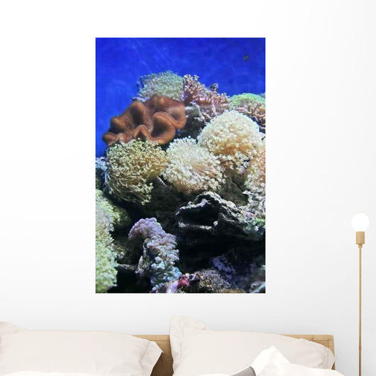 Coral Wall Decal