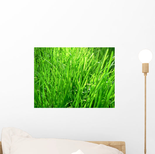 Grass Wall Mural