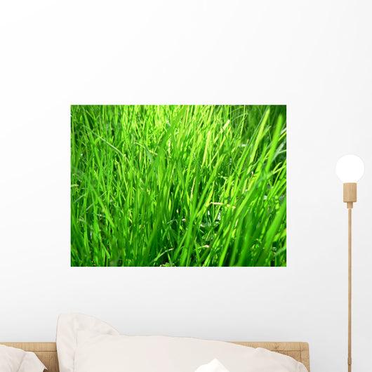 Grass Wall Mural