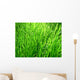 Grass Wall Mural