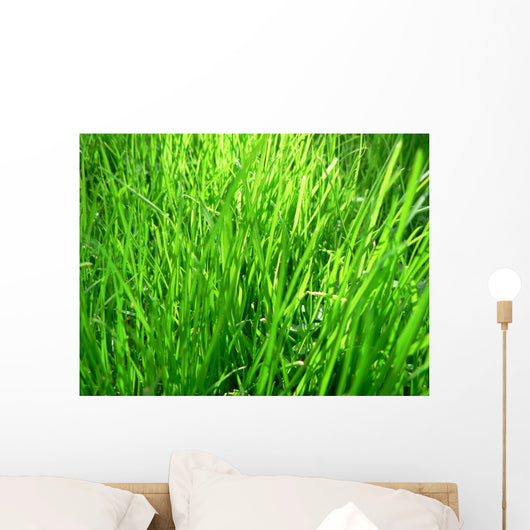 Grass Wall Mural