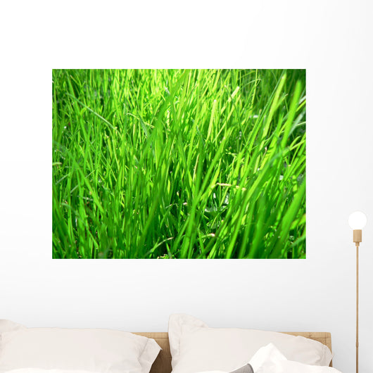 Grass Wall Mural