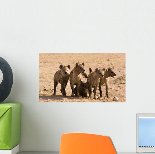 Pack of Hyenas Wall Mural