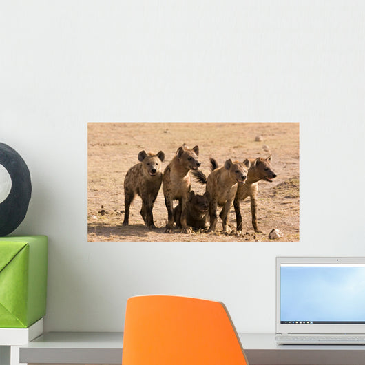 Pack of Hyenas Wall Mural
