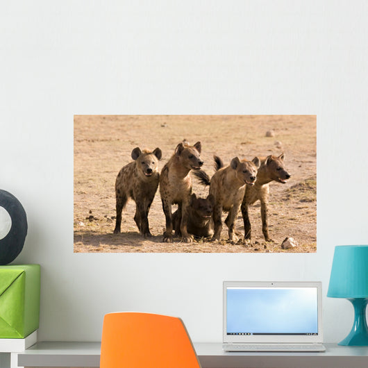 Pack of Hyenas Wall Mural
