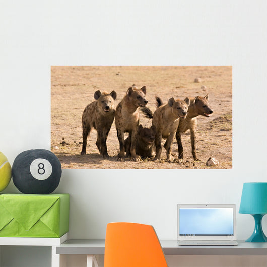 Pack of Hyenas Wall Mural