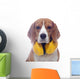 Beagle dog with yellow headphones isolated on white background Wall Decal