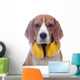 Beagle dog with yellow headphones isolated on white background Wall Decal