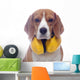 Beagle dog with yellow headphones isolated on white background Wall Decal