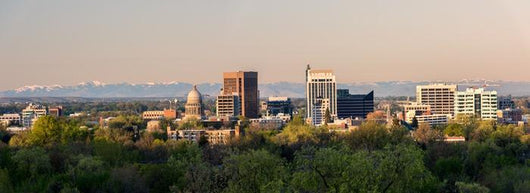 Morning Skyline Boise Idaho Wall Decal