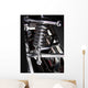 Chrome Coil Wall Mural