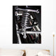 Chrome Coil Wall Mural