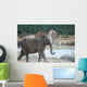 Junger Elefant Wall Decal