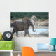 Junger Elefant Wall Decal