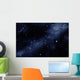 Starfield Wall Mural