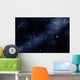 Starfield Wall Mural