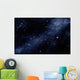 Starfield Wall Mural