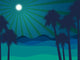 Night in the desert. Desert landscape. Vector illustration. Wall Mural