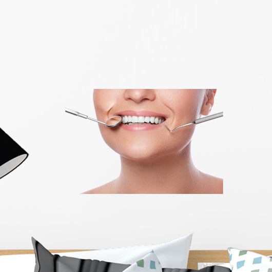 Smiling woman and dental tools Wall Decal