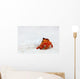 Hermit crab Wall Mural