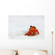 Hermit crab Wall Mural