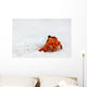 Hermit crab Wall Mural