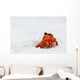 Hermit crab Wall Mural