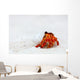 Hermit crab Wall Mural
