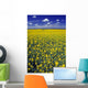 Field Canola Wall Decal Design 1