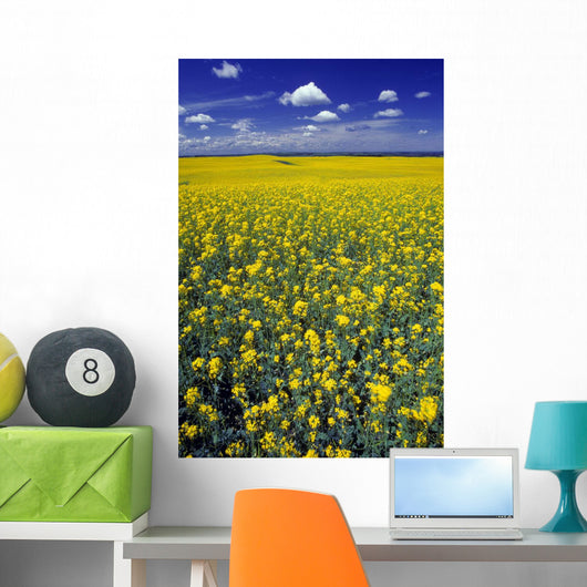 Field Canola Wall Decal Design 1