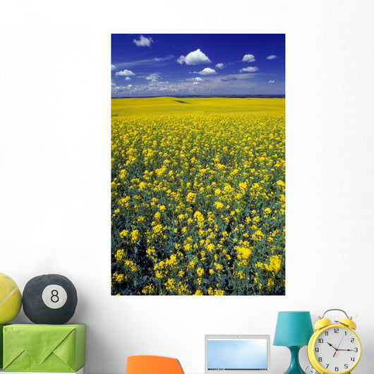 Field Canola Wall Decal Design 1